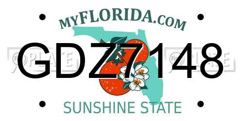 GDZ7148 Florida License Plate