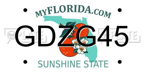GDZG45 Florida License Plate