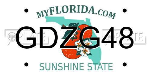 GDZG48 Florida License Plate