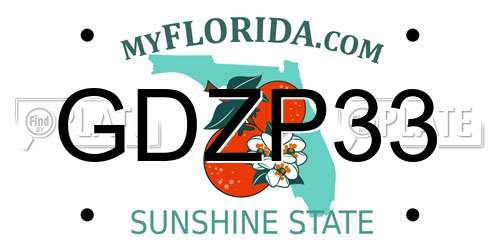 GDZP33 Florida License Plate