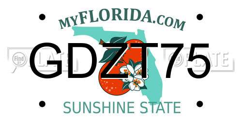 GDZT75 Florida License Plate