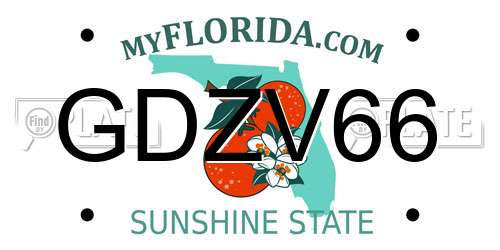 GDZV66 Florida License Plate