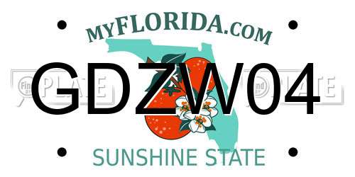 GDZW04 Florida License Plate