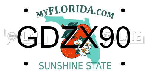 GDZX90 Florida License Plate