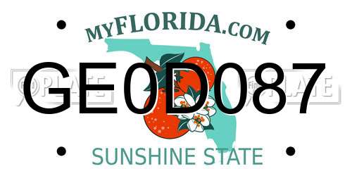 GE0D087 Florida License Plate