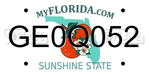 GE0Q052 Florida License Plate