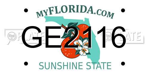 GE2116 Florida License Plate