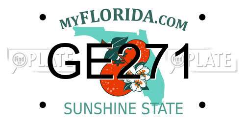 GE271 Florida License Plate