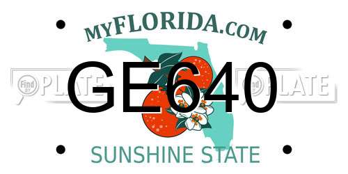 GE640 Florida License Plate