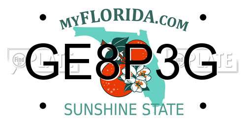 GE8P3G Florida License Plate