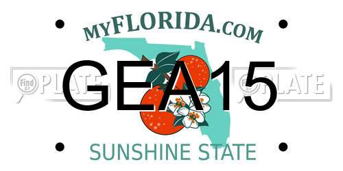 GEA15 Florida License Plate