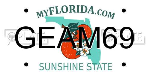 GEAM69 Florida License Plate