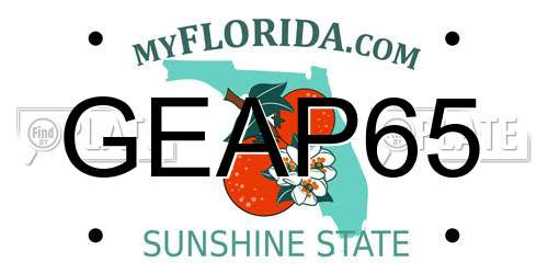 GEAP65 Florida License Plate