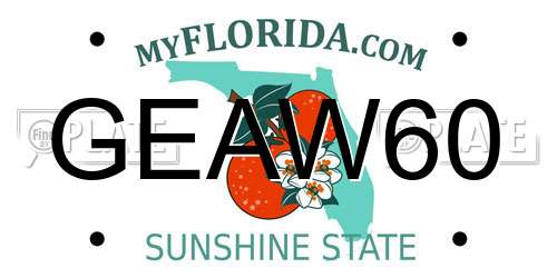 GEAW60 Florida License Plate