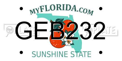 GEB232 Florida License Plate