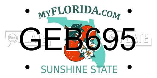GEB695 Florida License Plate
