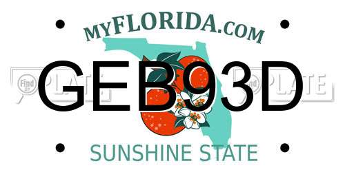 GEB93D Florida License Plate