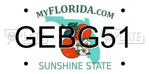 GEBG51 Florida License Plate