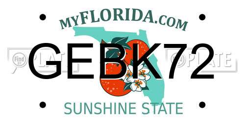 GEBK72 Florida License Plate