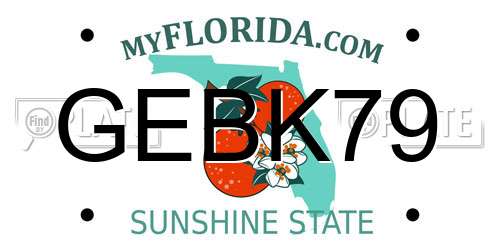 GEBK79 Florida License Plate