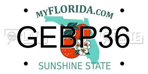 GEBP36 Florida License Plate