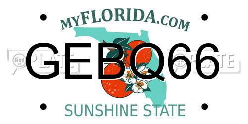 GEBQ66 Florida License Plate