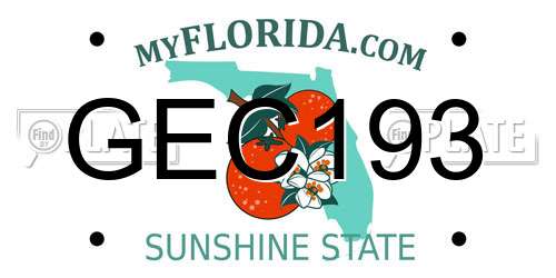 GEC193 Florida License Plate