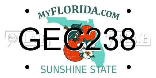 GEC238 Florida License Plate