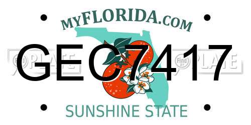 GEC7417 Florida License Plate