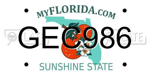 GEC986 Florida License Plate