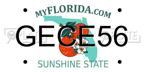 GECE56 Florida License Plate