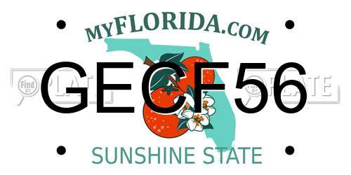 GECF56 Florida License Plate
