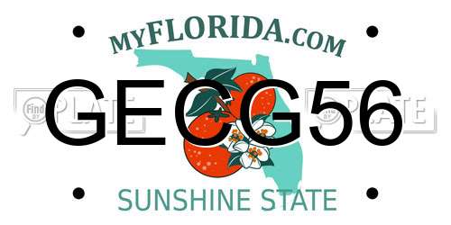 GECG56 Florida License Plate
