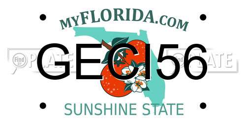 GECI56 Florida License Plate