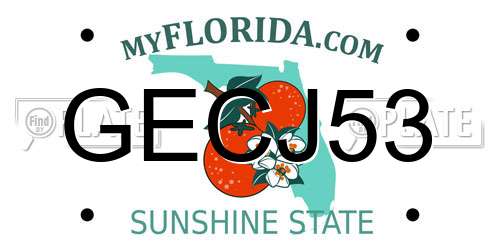 GECJ53 Florida License Plate