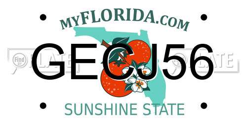 GECJ56 Florida License Plate