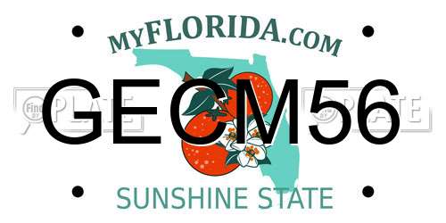 GECM56 Florida License Plate