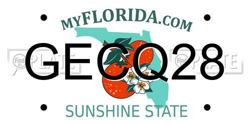 GECQ28 Florida License Plate