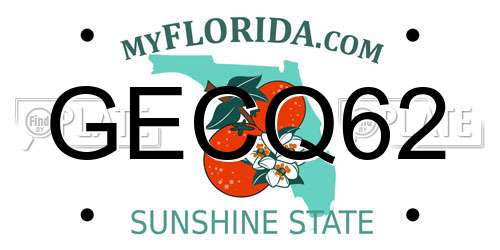 GECQ62 Florida License Plate