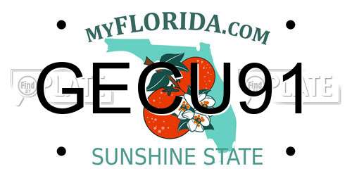 GECU91 Florida License Plate
