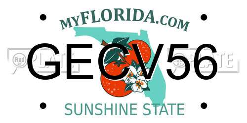 GECV56 Florida License Plate