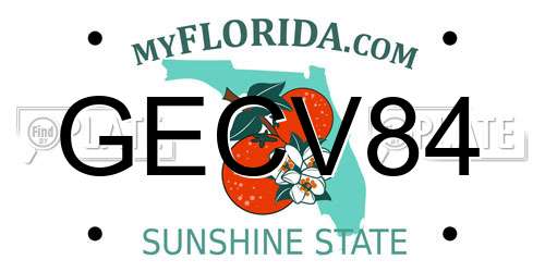 GECV84 Florida License Plate
