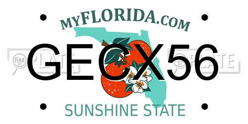 GECX56 Florida License Plate
