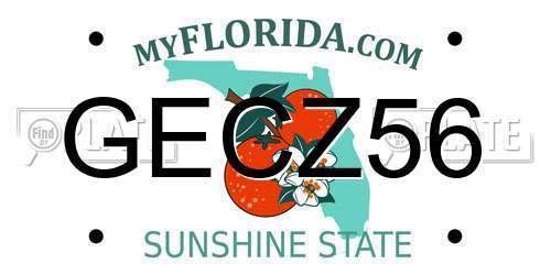 GECZ56 Florida License Plate