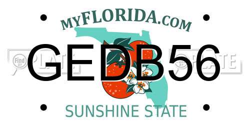 GEDB56 Florida License Plate