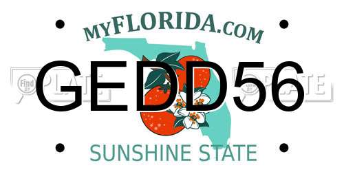 GEDD56 Florida License Plate