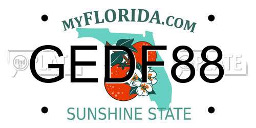 GEDF88 Florida License Plate
