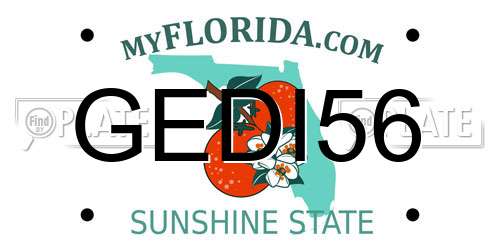 GEDI56 Florida License Plate