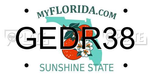 GEDR38 Florida License Plate