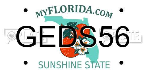 GEDS56 Florida License Plate
